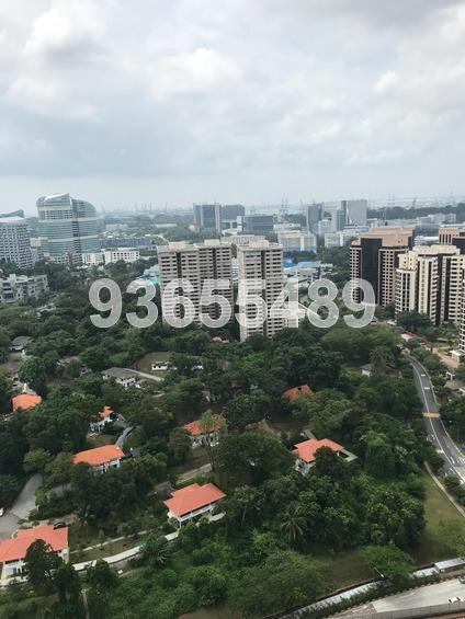 Blk 23 Ghim Moh Link (Queenstown), HDB 5 Rooms #165590402